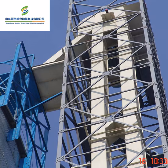 Hochwertiges Schüttgut-Becherwerk-Fördersystem der Tdtg-Serie