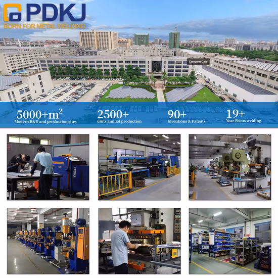 Zy1377dsk Direktantrieb, automatisches Knopfzuführungsgerät, Knopfbefestigung, Nähen